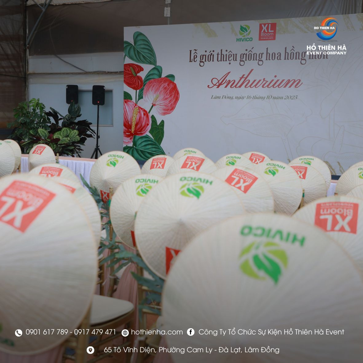 Lễ giới thiệu giống hoa hồng môn Anthurium