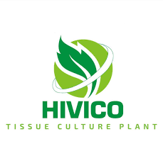 HIVICO